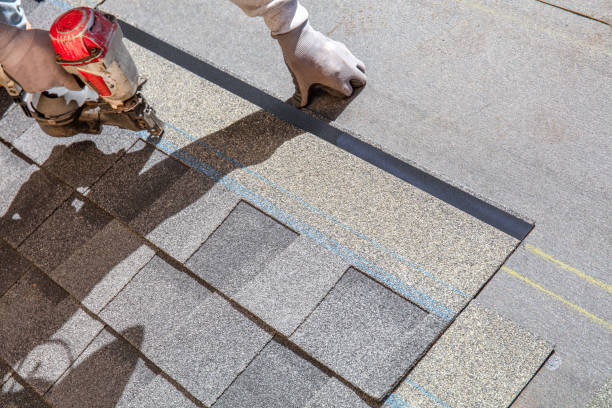 Best Roof Gutter Cleaning  in Avondale, LA